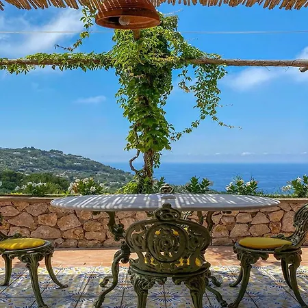 C In Capri With Sea View *